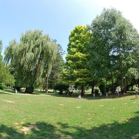 Apartments Banjica Soko Banja Dış mekan fotoğraf