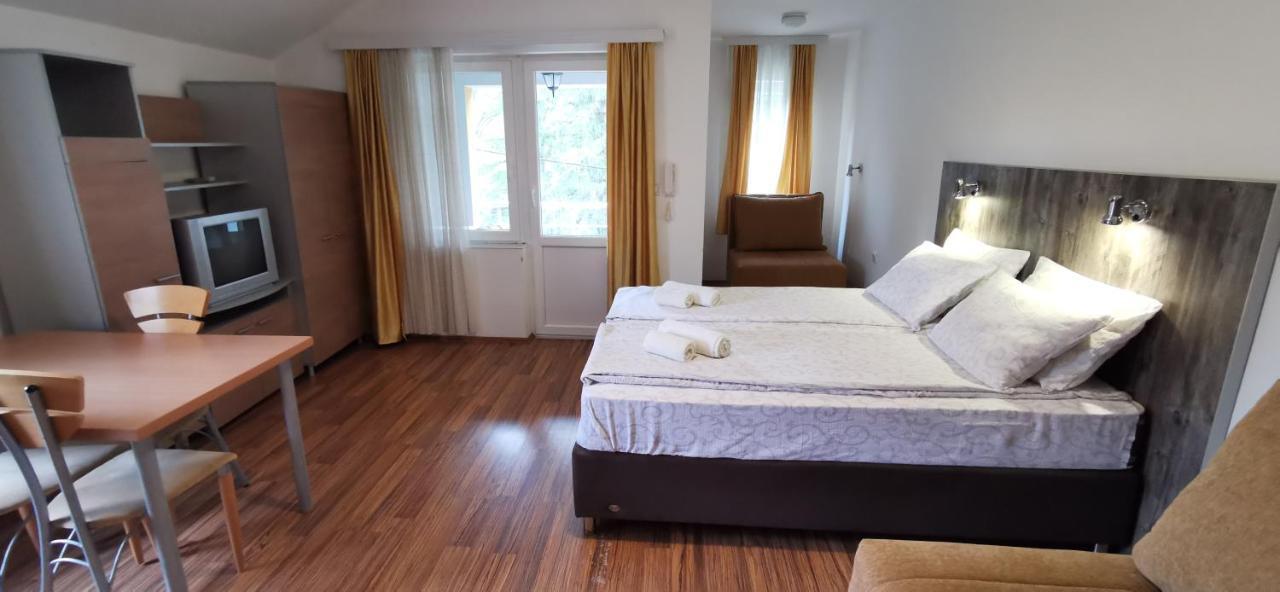 Apartments Banjica Soko Banja Dış mekan fotoğraf