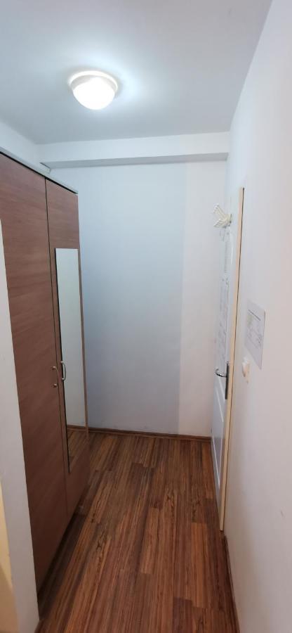 Apartments Banjica Soko Banja Dış mekan fotoğraf