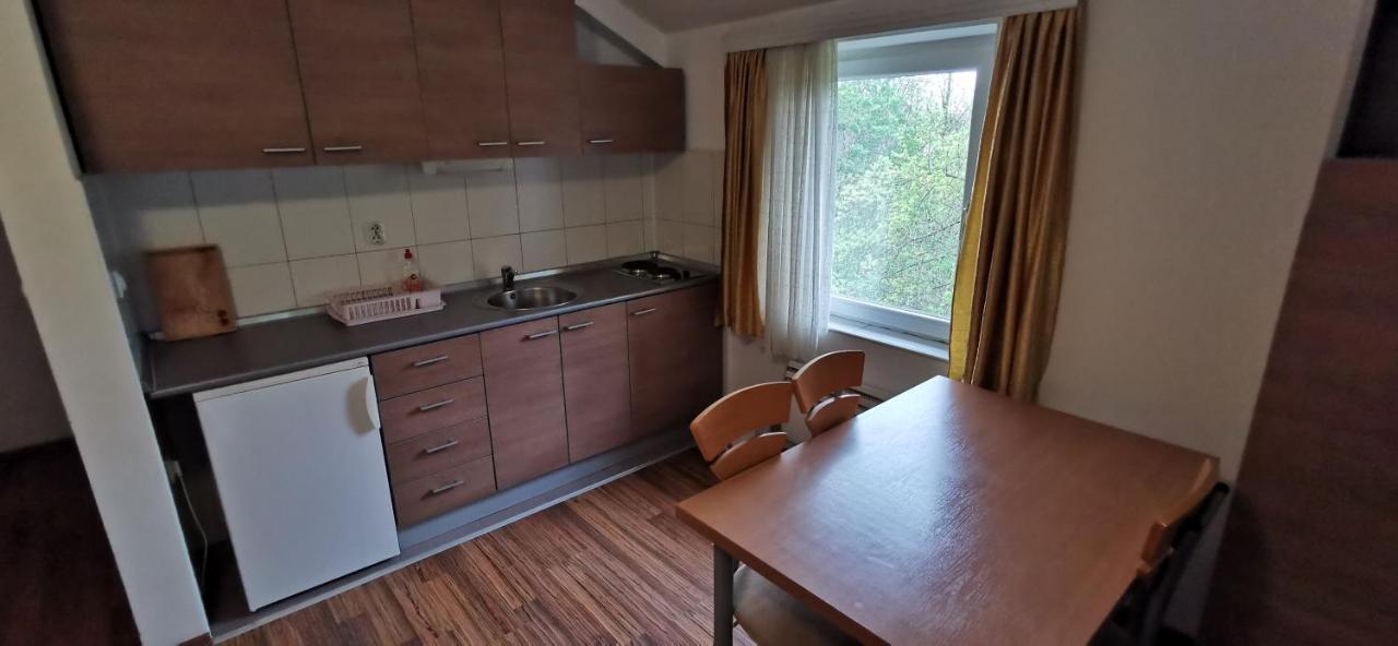 Apartments Banjica Soko Banja Dış mekan fotoğraf