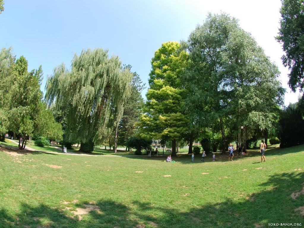 Apartments Banjica Soko Banja Dış mekan fotoğraf
